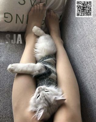 最新三级片网_在线播放-手机免费播放动漫